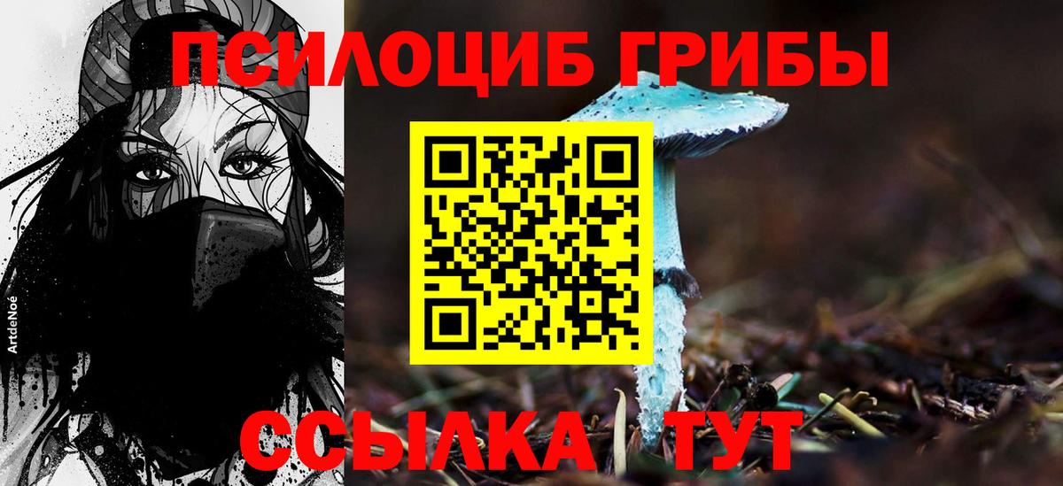 Псилоцибиновые грибы мухоморы Сосновоборск